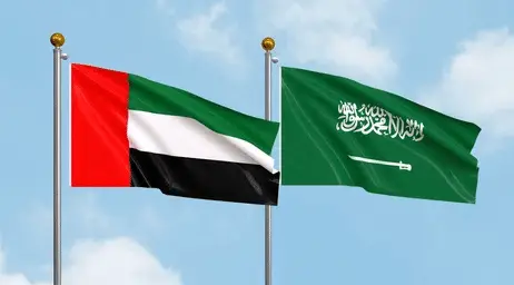 waving flags united arab emirates 260nw 2316205259